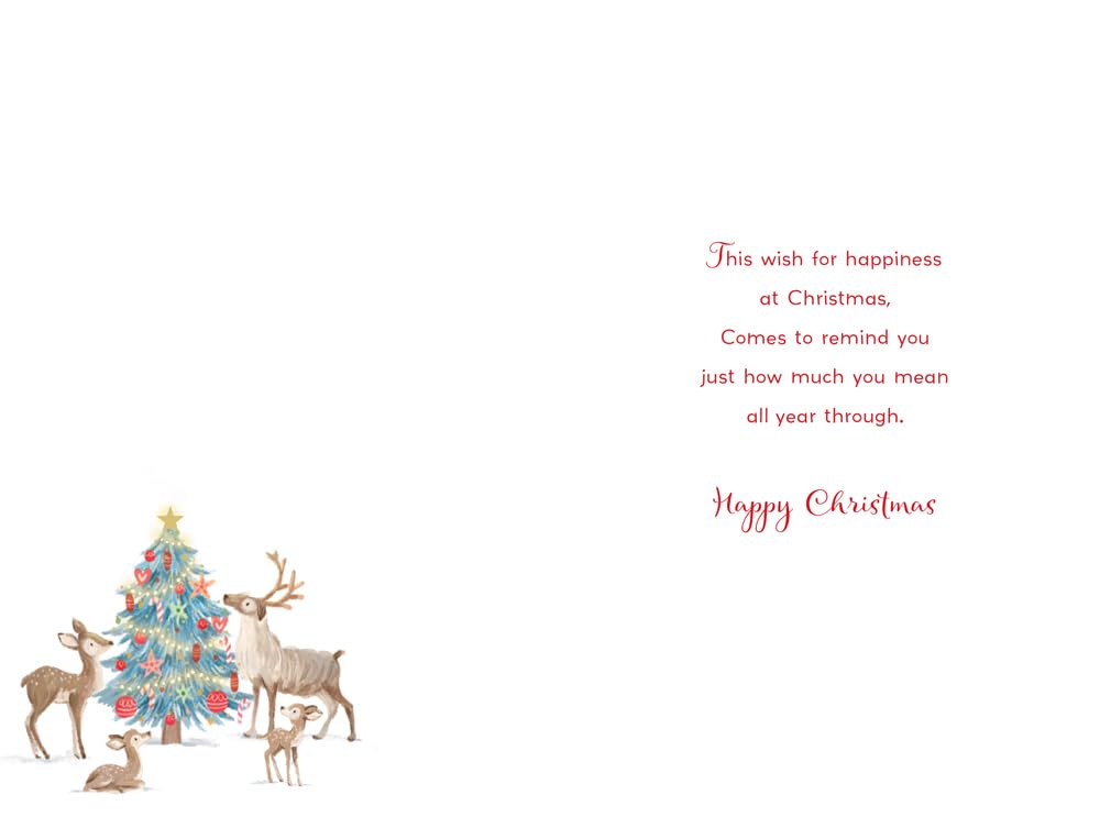 Christmas Card To All The Family Large Reindeer Snow Scene 15x23cm