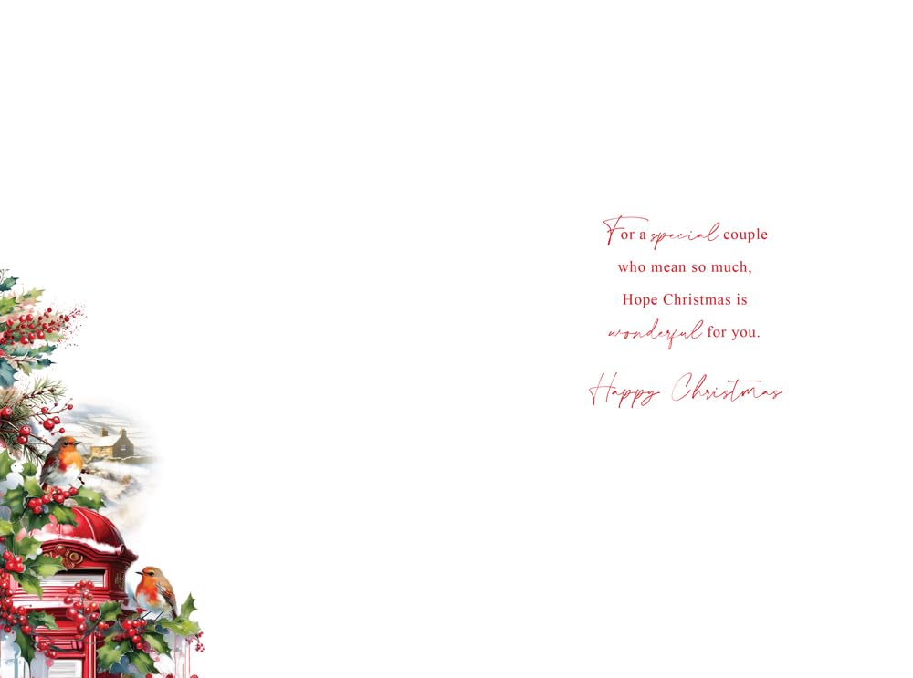 Christmas Card Special Brother & Wife Large Robins Postbox 15x23cm