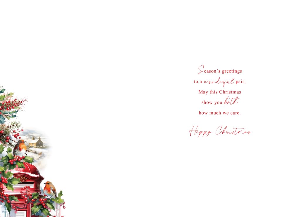 Christmas Card To Brother & Sister-In-Law Large Postbox Robins 15x23cm