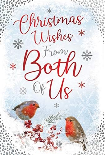 From Both Of Us Christmas Card Robins & Twig Design Lovely Verse