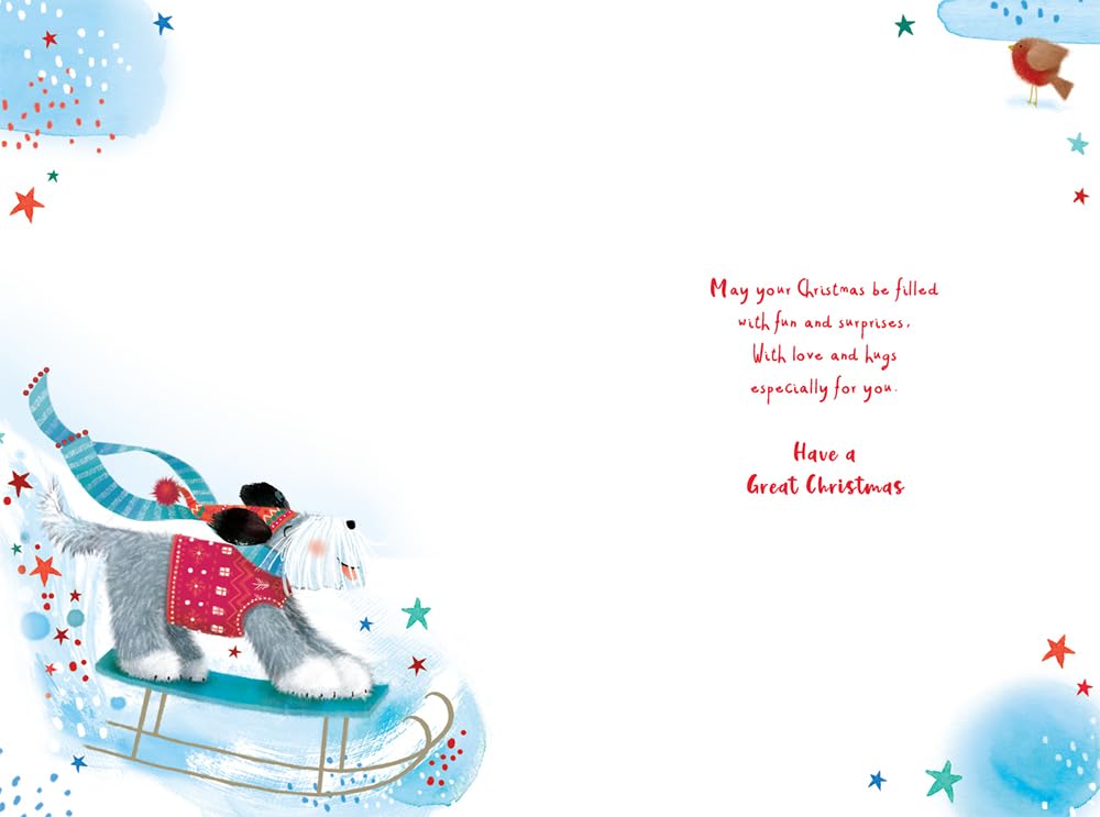 Cousin Christmas Card Cute Sledging Dog Robin 9" x 6" Lovely Verse