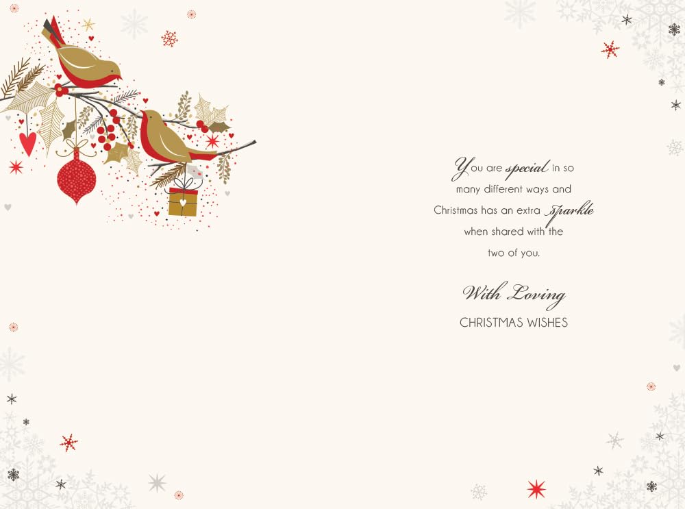 Sister & Brother in Law Christmas Card Modern Robins 9" x 6" Lovely Verse