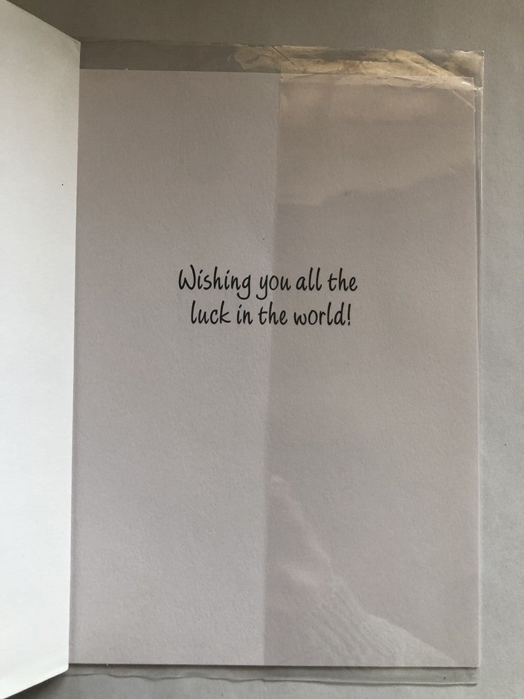 Good Luck Best Wishes Card Assorted Coloured Balloons You Can Do It