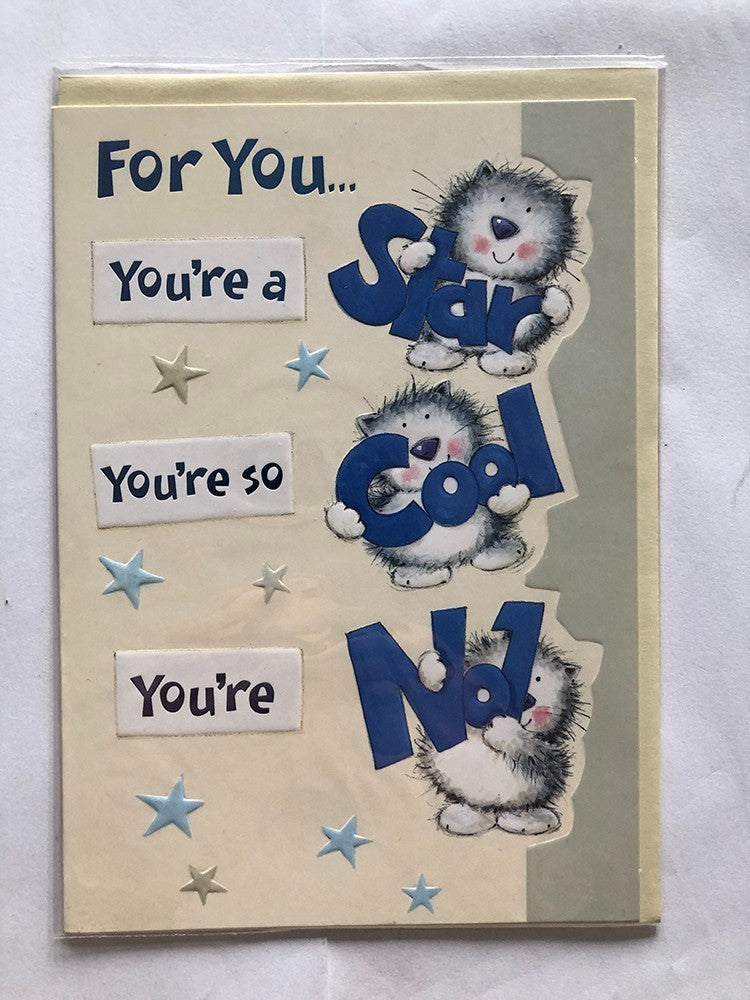 Open Male Happy Birthday Card Cute Cat For You A Star So Cool No.1