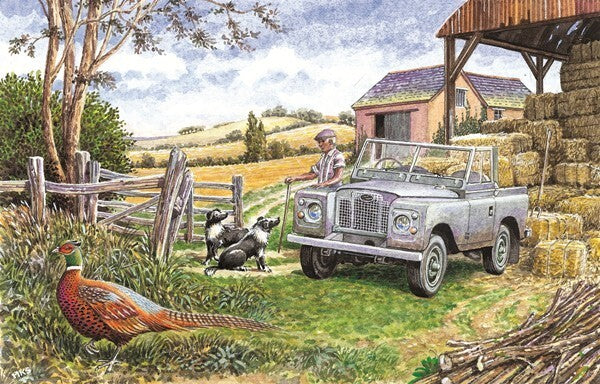 Land Rover Open Card You Two Are Looking Sheepish Dogs Barn  Blank Birthday