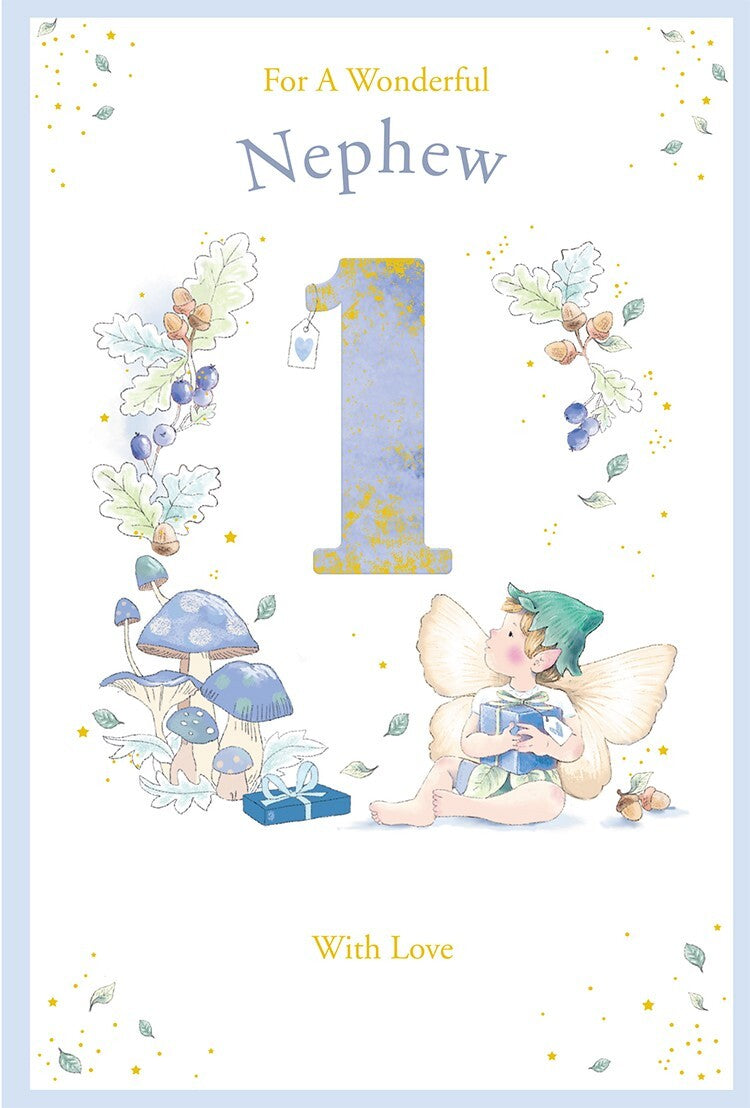 Nephew 1st Birthday Card Age 1 Catkin Pixie 9" x 6" Lovely Verse