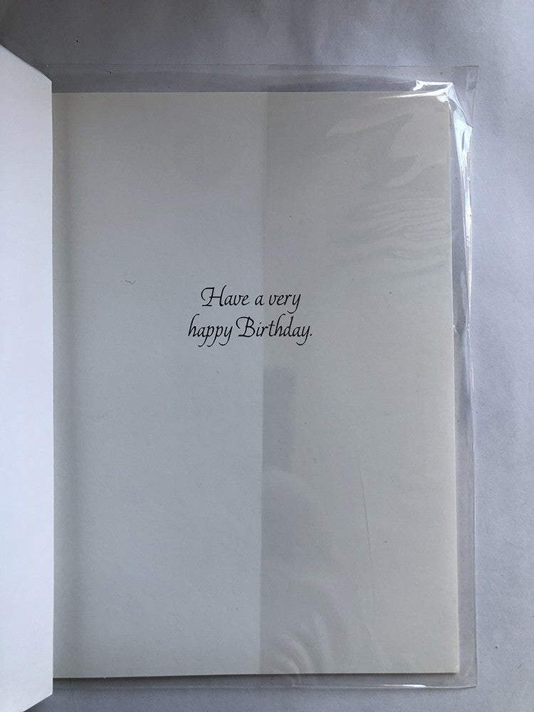 Friend Happy Birthday Card Good Geese Goose At Waterside Watersplash