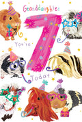 Granddaughter 7th Birthday Card Age 7 Guinea Pigs 9" x 6" Lovely Verse