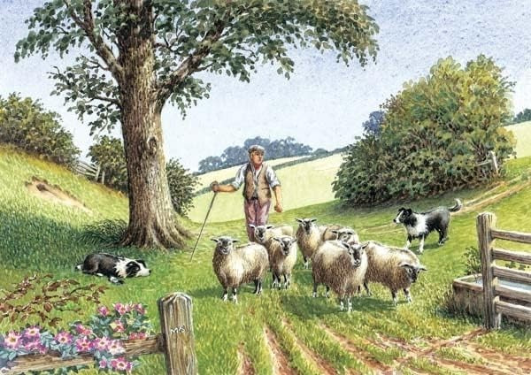 Border Collie Sheep Dog Birthday Card | Shepherd Farming Country Scene | For Him