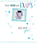 Passed Your Exams Card Well Done You! Star & Teddy Design Bright Modern