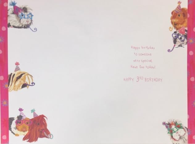 3rd Birthday Card for Niece  Guinea Pig Design  15x23cm  Colour Insert
