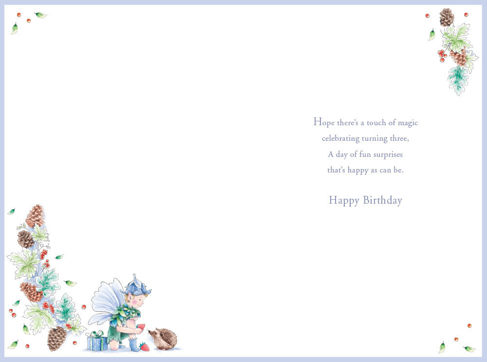 Grandson 3rd Birthday Card Age 3 Pinecone Pixie 9" x 6" Lovely Verse