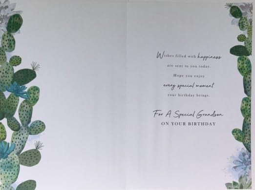 Grandson Birthday Card  Cactus Design & Sentimental Verse  15x23cm