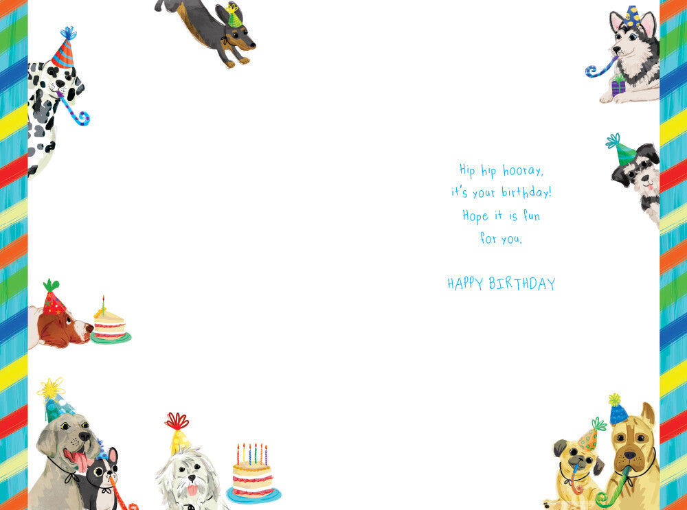 Grandson 10th Birthday Card Age 10 Dogs 9" x 6" Lovely Verse
