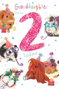 2nd Birthday Card for Granddaughter  Guinea Pig Design  15x23cm Insert