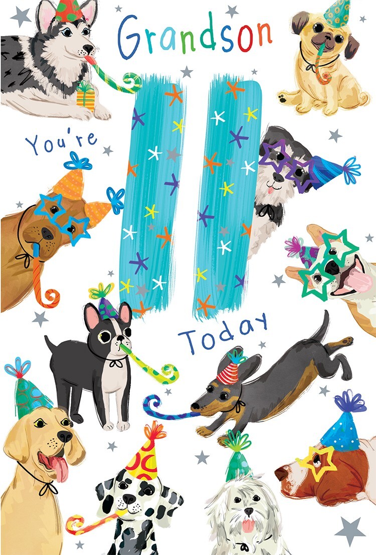 Grandson 11th Birthday Card Age 11 Dogs 9" x 6" Lovely Verse