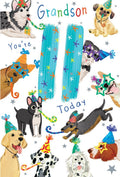 Grandson 11th Birthday Card Age 11 Dogs 9" x 6" Lovely Verse