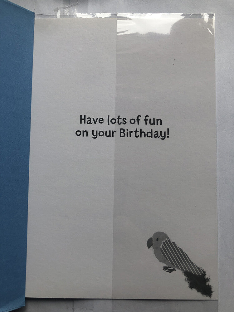 Nephew Happy Birthday Card Pirate Sword Parrot