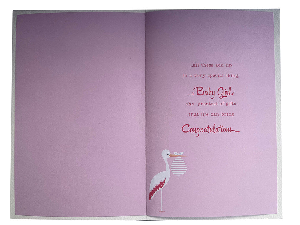 Birth Baby Girl A Beautiful Stork Design New Baby Modern Greeting Card