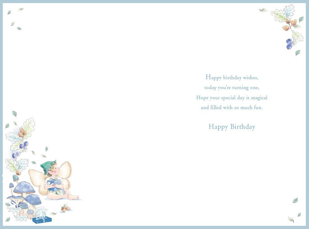 Nephew 1st Birthday Card Age 1 Catkin Pixie 9" x 6" Lovely Verse