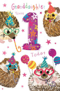 1st Birthday Card for Granddaughter  Hedgehog Party Design  15x23cm Insert