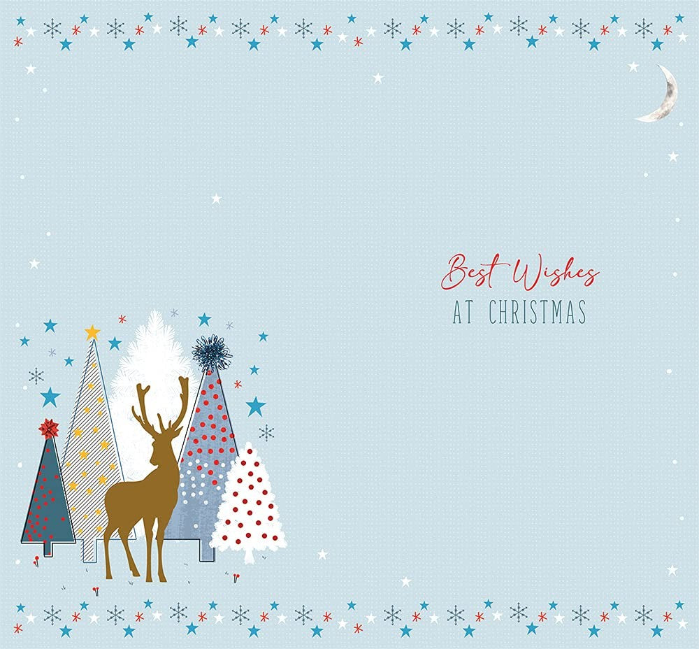 Son Christmas Card Wishing You a Wonderful Christmas Design