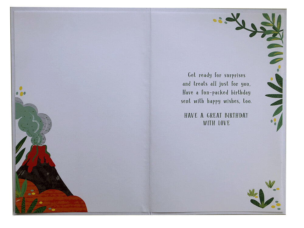 Son 4th Birthday Card Age 4 Today Cute Dinosaur Happy Lovely Verse