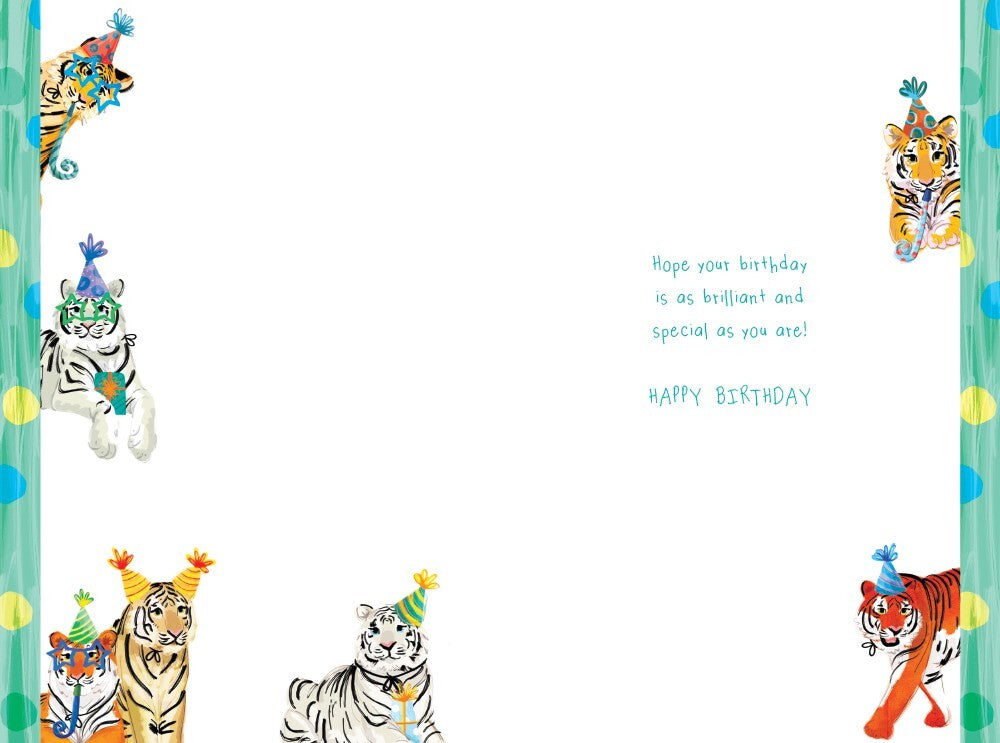 Grandson 7th Birthday Card Age 7 Tigers 9" x 6" Lovely Verse