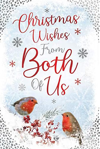 From Both Of Us Christmas Card Robins & Twig Design Lovely Verse