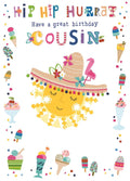 Cousin Happy Birthday Card Hip Hip Hurray Sun Hat & Ice Cream Design