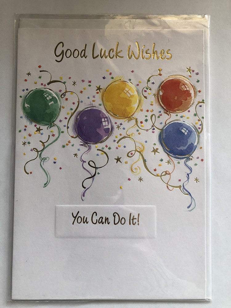 Good Luck Best Wishes Card Assorted Coloured Balloons You Can Do It