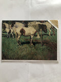 Open Happy Birthday Card Horses Fence Fouls Green Pasture