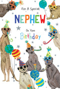 Nephew Birthday Card Meerkats 9" x 6" Lovely Verse