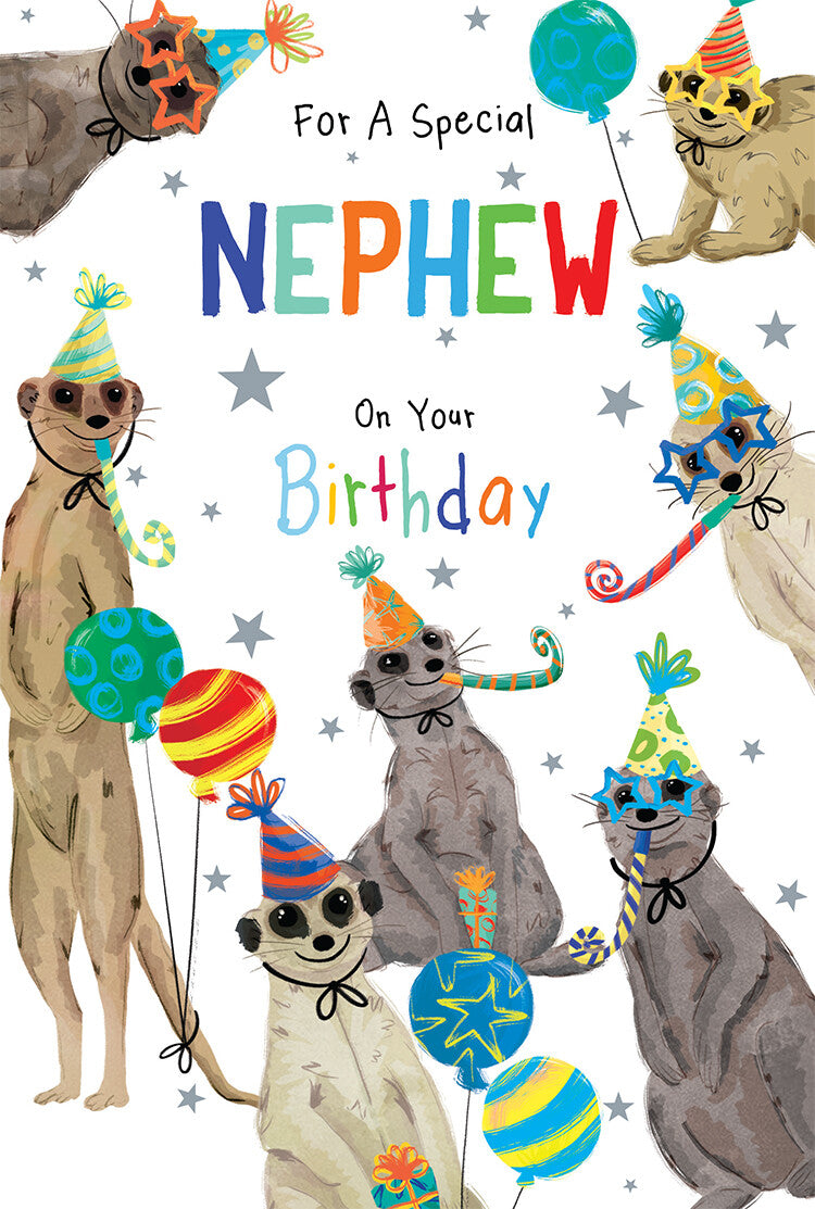 Nephew Birthday Card Meerkats 9" x 6" Lovely Verse