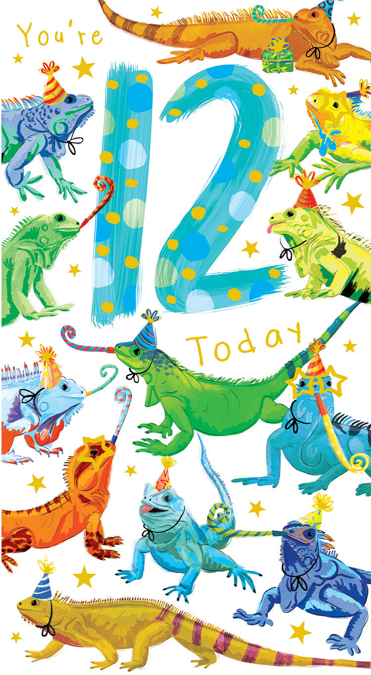 Age 12 Male 12th Birthday Card Iguanas 9" x 5" Lovely Verse