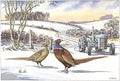 Three's A Crowd Pheasant Countryside Scene Open Happy Christmas Card