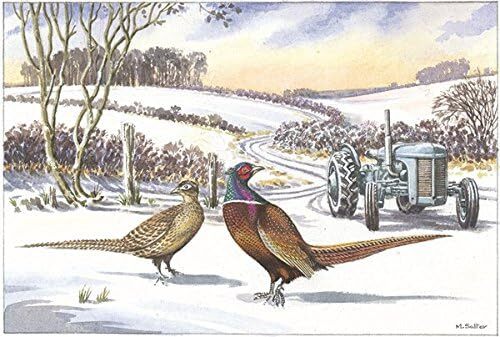 Three's A Crowd Pheasant Countryside Scene Open Happy Christmas Card