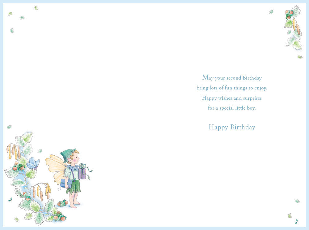 Grandson 2nd Birthday Card Age 2 Catkin Pixie 9" x 6" Lovely Verse