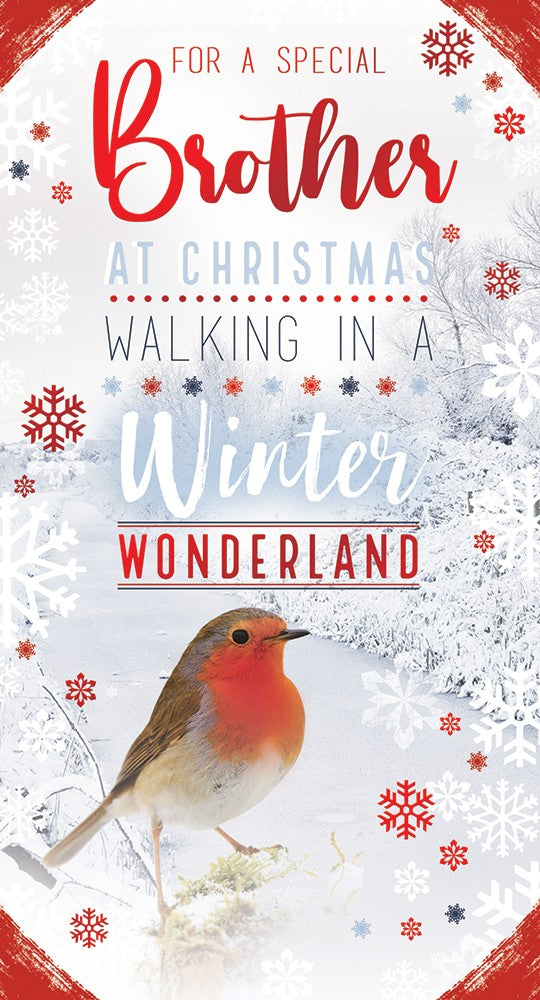 Brother Christmas Card Winter Wonderland Robin Bright Design