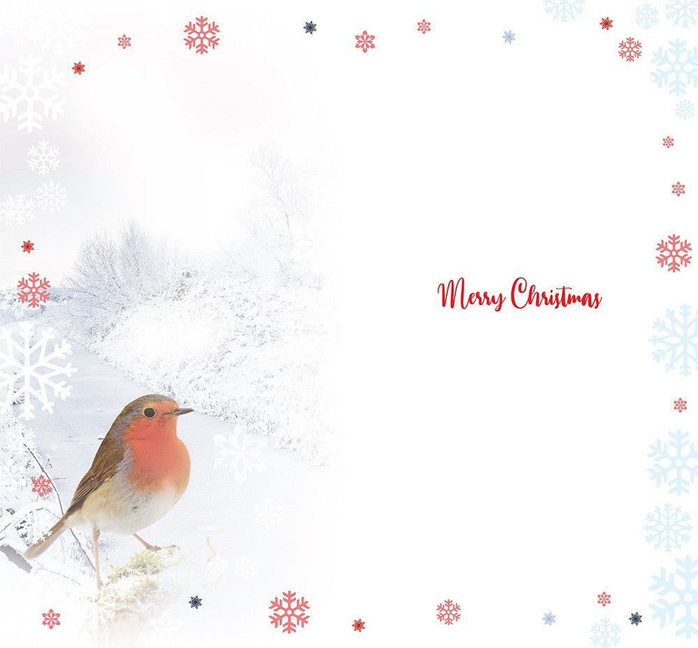 Brother Christmas Card Winter Wonderland Robin Bright Design