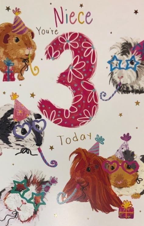 3rd Birthday Card for Niece  Guinea Pig Design  15x23cm  Colour Insert