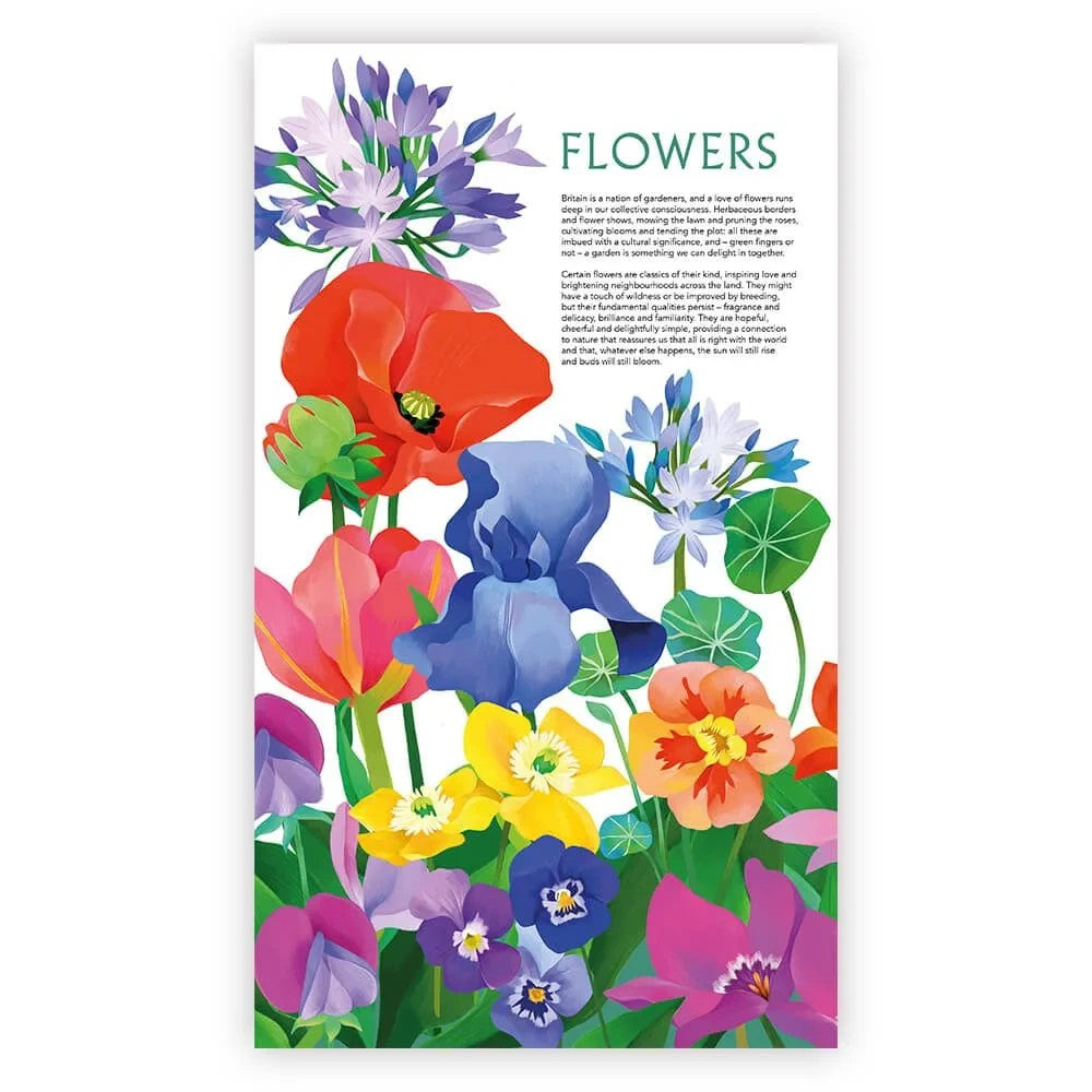Flowers Stamps Presentation Pack (first King Charles III Stamps) from Royal Mail