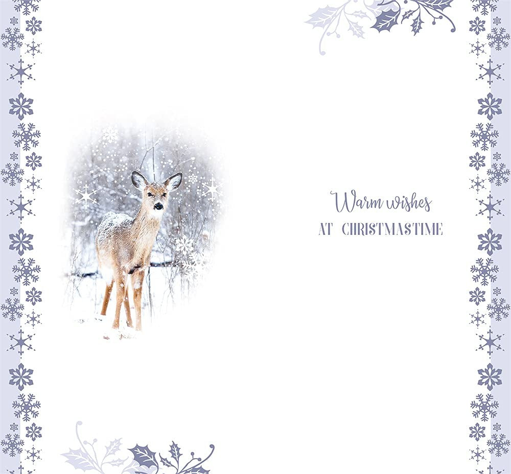 Open Christmas Card Christmas Wishes Let It Snow Deer & Holly Bright Design