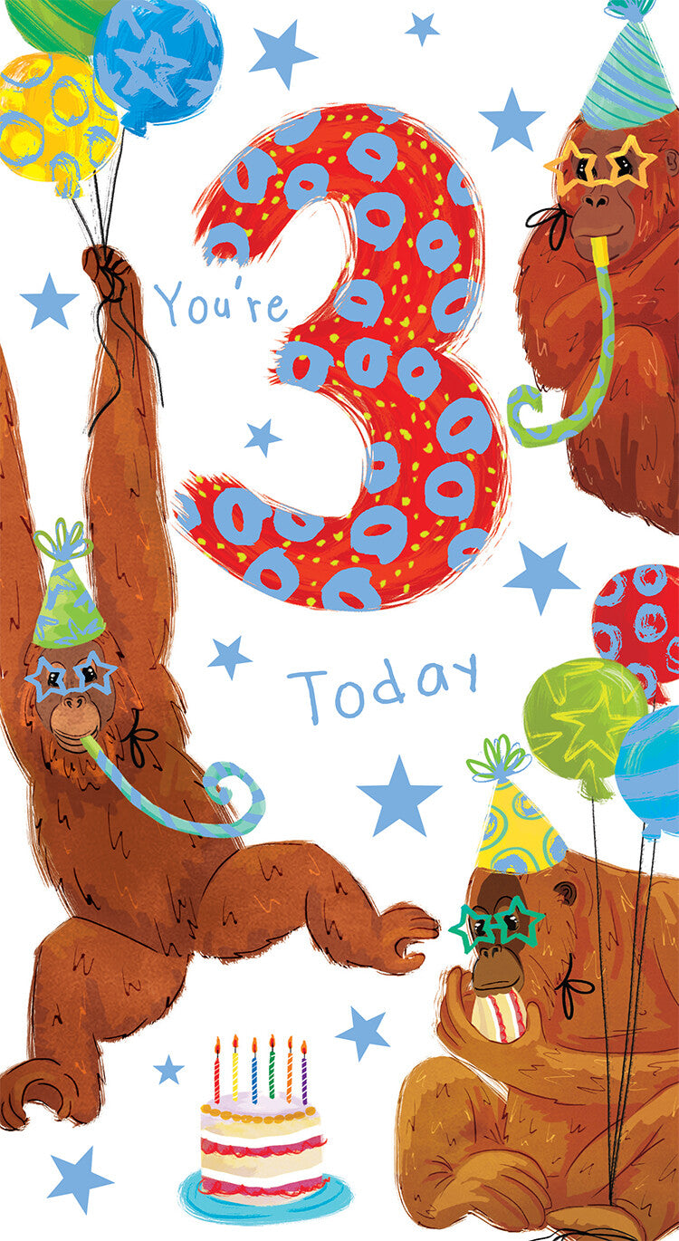 Age 3 Male 3rd Birthday Card Monkeys 9" x 5" Lovely Verse