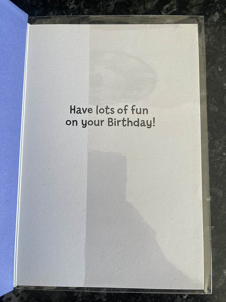 Age 1 Female Birthday Card 1st Cute Bears Ribbons Flowers