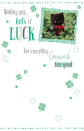 Good Luck Greeting Card Wishing You Lots Of Got Everything Crossed For You