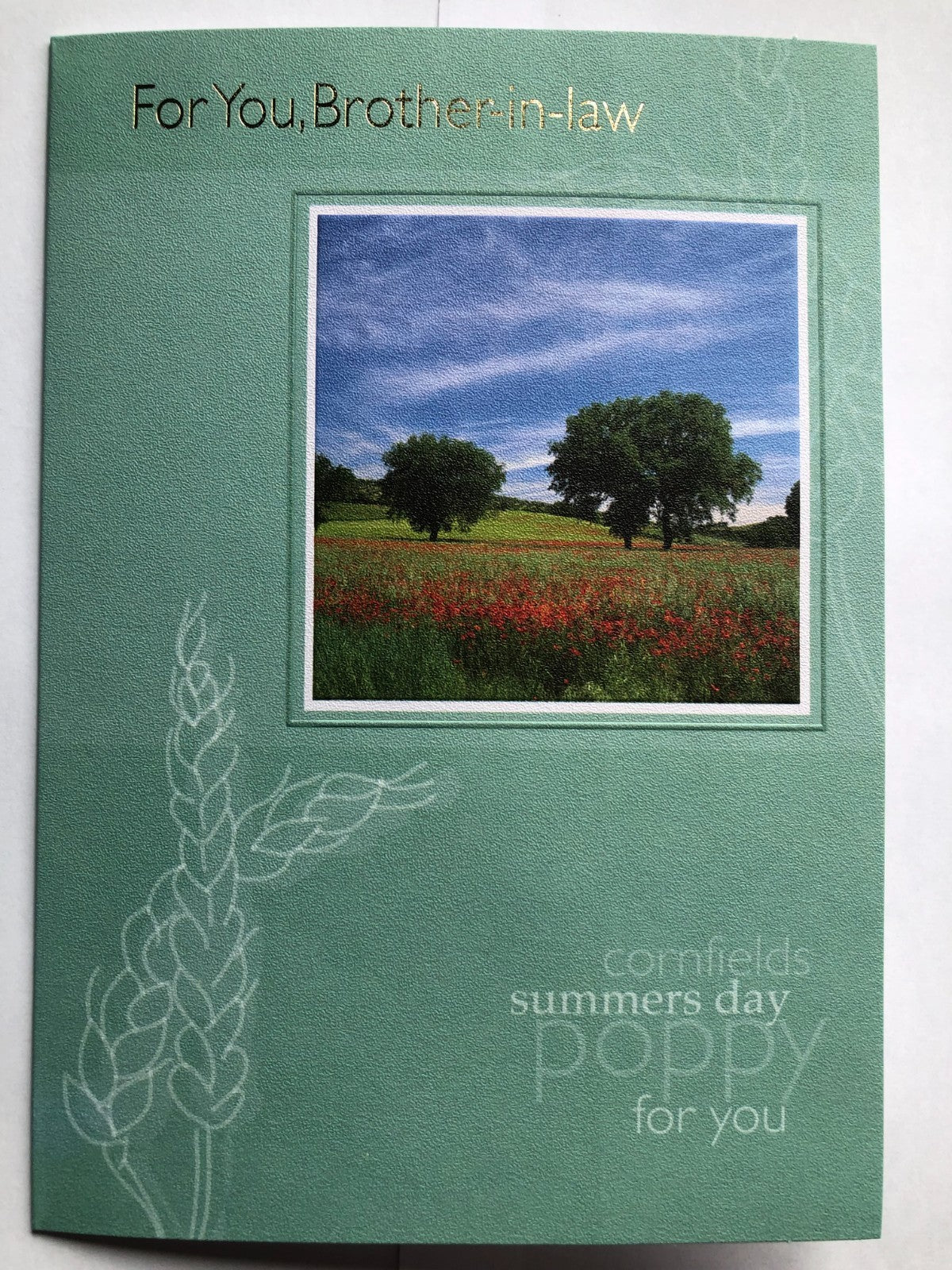 Brother In Law Birthday Card 13 x 19cm Great Selection To Choose From 32 Designs