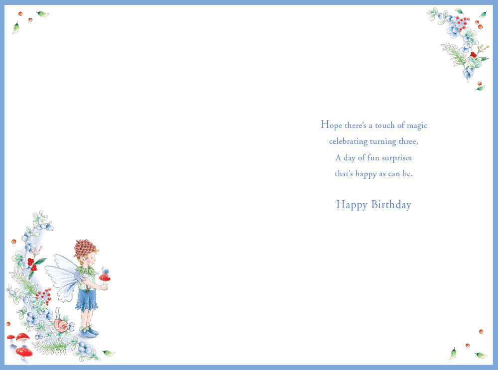 Nephew 3rd Birthday Card Age 3 Berry Pixie 9" x 6" Lovely Verse