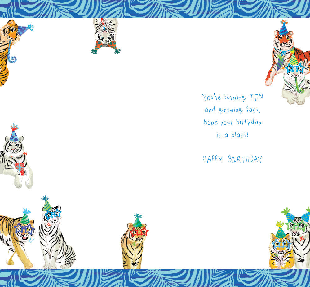 Kids 10th Birthday Card - Ten Today - Cute Tigers Party Hats Boy Girl