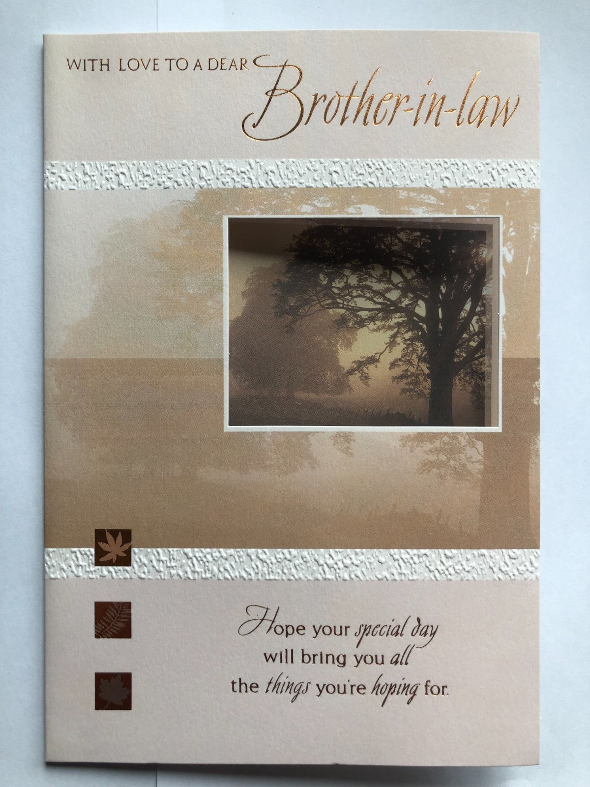 Brother In Law Birthday Card 13 x 19cm Great Selection To Choose From 32 Designs